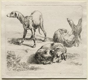 Animalia: Három vadászkutya