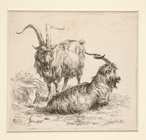 Kecske (tól alkotó: Nicolaes Berchem