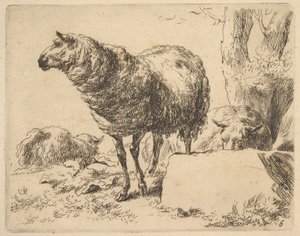 a The Set of Sheep-ből. alkotó: Nicolaes Berchem