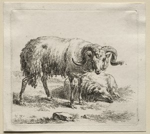 Ram és bárány. alkotó: Nicolaes Pietersz. Berchem