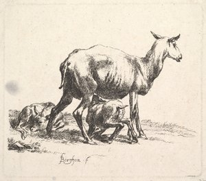 Juhok bárányápolással. alkotó: Nicolaes Pietersz. Berchem