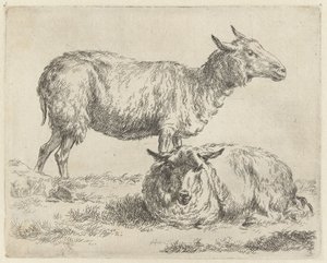 Staand en liggend schaap Schapen (sorozat címe) Az erős levegő által életre keltett és vízbe nyomott állatok a Nicolai Berchem Stúdió és Művészet által (sorozat címe) alkotó: Nicolaes Pietersz Berchem
