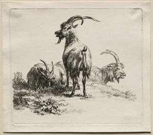 Három kecske. alkotó: Nicolaes Pietersz. Berchem