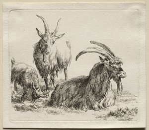 Három kecske. alkotó: Nicolaes Pietersz. Berchem