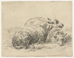 Twee ligende schapen Schapen (sorozat címe) Az erős levegő által életre keltett és vízbe nyomott állatok a Nicolai Berchem Stúdió és Művészet által (sorozat címe)