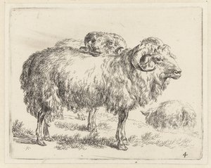 Twee rammen en een schaap Schapen (sorozat címe) Az erős levegő által életre keltett és vízbe nyomott állatok a Nicolai Berchem Stúdió és Művészet által (sorozat címe)