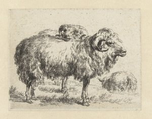 Twee rammen en een schaap Schapen (sorozat címe) Az erős levegő által életre keltett és vízbe nyomott állatok a Nicolai Berchem Stúdió és Művészet által (sorozat címe) alkotó: Nicolaes Pietersz Berchem