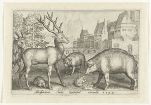 Szarvas, sündisznó, birka, béka és disznó Animalivm qvadrvpedvm (sorozat címe) Állatok a tájakon (sorozat címe) alkotó: Nicolaes de Bruyn