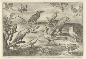 Komló és egyéb madarak Madarak és rovarok (sorozat címe) alkotó: Nicolaes de Bruyn