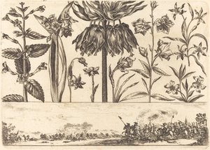 Virágnyomat 10. sz alkotó: Nicolas Cochin after Balthasar Moncornet