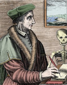 Jean Fernel (1497-1558) francia csillagász, matematikus és orvos.