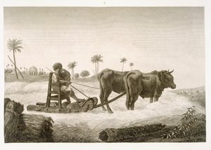 Kukorica betakarítása, az "Egyiptom leírása" II. kötetéből, a kocsma. Napóleon parancsára, 1822