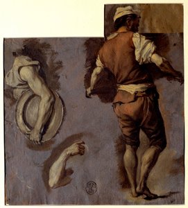 Anatómia, karmozgások és háti ember tanulmányozása. Nicolas Vleughels (1668-1737) olajrajza V. 0,28x0,25 m