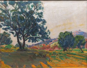 Az Olive Grove. Cagnes-szel a háttérben. A Fény ellen