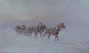Hóvihar, 1901