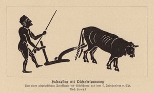 Ókori görög ökör által vontatott eke (litográfia) alkotó: Nikosthenes