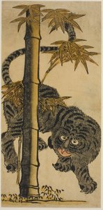 Bambusz és tigris