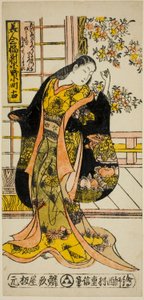 Ono no Komachi, Acet of Three Beautiers (gyönyörű hármas)