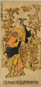 A négy évszak virágainak házalója – Háromból álló készlet (Shiki no hanauri sanpukutsui)