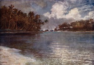 Zátony és pálma által (színes litó) alkotó: Norman Hardy