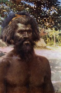 Embertípus Tanna szigetéről, Új-Hebridákról (színes litho) alkotó: Norman Hardy