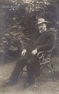 Johan Svendsen portréja
