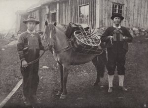 Saetersdalen Highlanders Pack-Horse-val alkotó: Norwegian Photographer