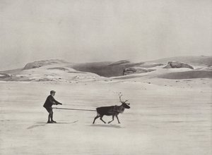 Sívezetés rénszarvasokkal a hegyekben alkotó: Norwegian Photographer