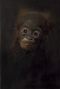 Baby orangután 1, 2009 (akril, fa)