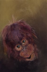 Baby orangután 2, 2010 (akril, fa) alkotó: Odile Kidd