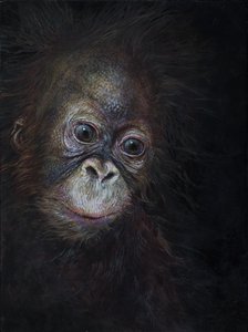 Baby orangután 3, 2015 (akril, fa)