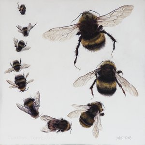 Bombus, 2015 (akril, gipszelt fára)