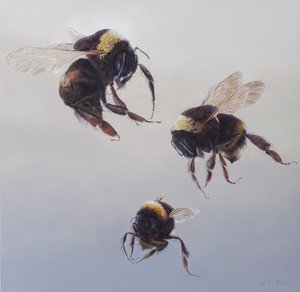 Bombus repülés 1, 2011 (akril, fa) alkotó: Odile Kidd