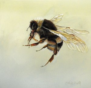 Bombus terrestris 4, 2011 (akril, fa) alkotó: Odile Kidd