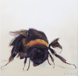 Bombus terrestris 9, 2013 (akril, fa) alkotó: Odile Kidd