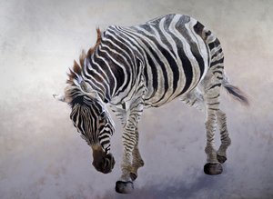 Equus burchelli 2, 2010 (akril, vászon) alkotó: Odile Kidd