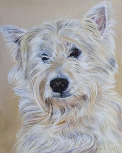 Hamish, 2011 (akril, fa)