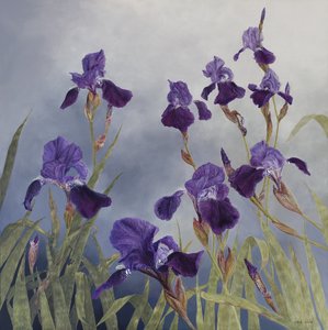 Iris hybrida, 2015 (akril, gipszelt fára)