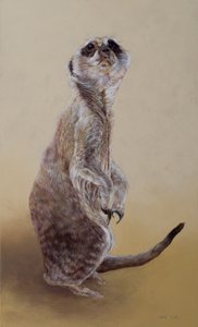 Meerkat 2, 2010 (akril, fa)