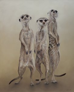 Meerkats, 2014 (akril, gézezett fára)