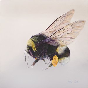 Pollen sac 2, 2011 (akril, fa) alkotó: Odile Kidd