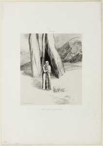 Egy őrült szomorú tájon, 6/3. tábla alkotó: Odilon Redon
