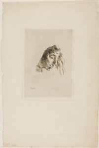 A könyvekből alkotó: Odilon Redon