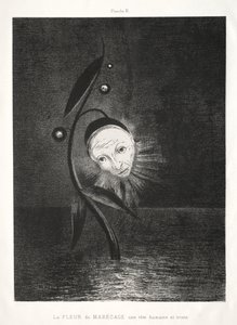 Homage to Goya: A mocsári virág, egy szomorú emberfej, 1885. alkotó: Odilon Redon