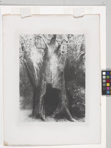 Elsüllyedtem a magányba (litográfia kínai rátétpapíron) alkotó: Odilon Redon