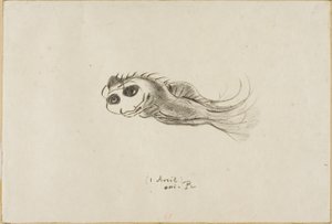 Vacsora menü francia litográfusok számára, 1887. április 1 alkotó: Odilon Redon