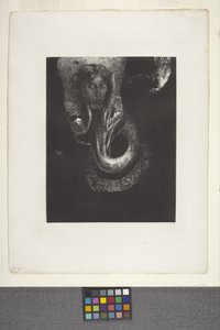 Oannès: "Én, a káosz első tudata..." (litográfia kínos rátétpapíron) alkotó: Odilon Redon