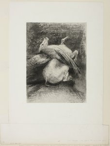 Az impotens szárny nem emelte be az állatot abba a fekete térbe, 7/8. tábla a "Les Origines"-ből alkotó: Odilon Redon