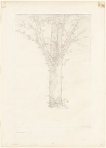 Fa alkotó: Odilon Redon