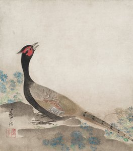 Fácán alkotó: Ogata Korin